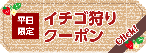 イチゴ狩りクーポン