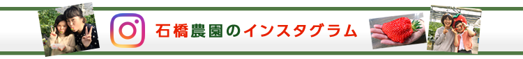 石橋農園のインスタグラム